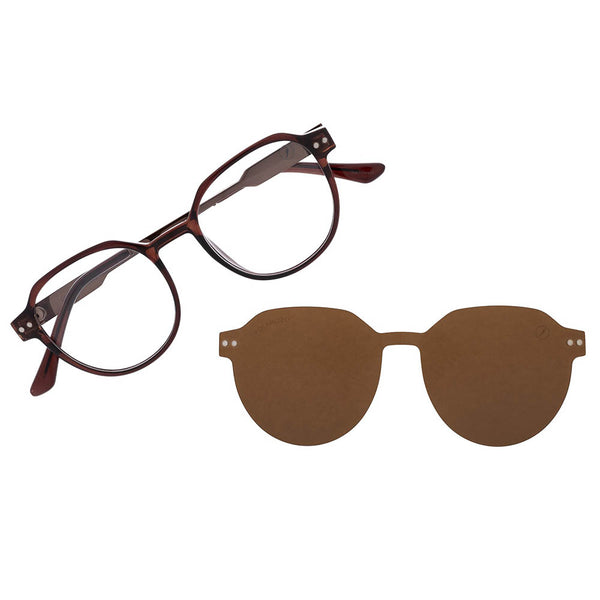 Lentes De Sol New Retro Redondo Marrón/Marrón