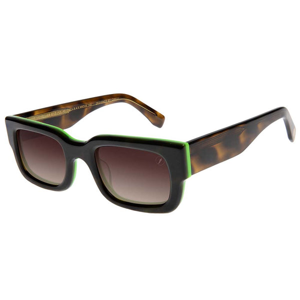 Lentes De Sol Premium Bossa Nova Gradiente Marón/Tortuga