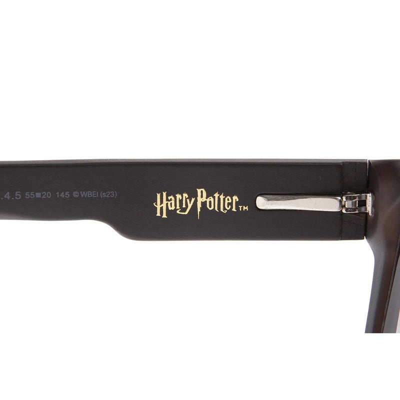 Lentes De Sol Harry Potter Bossa Nova Gradiente Verde/Mate