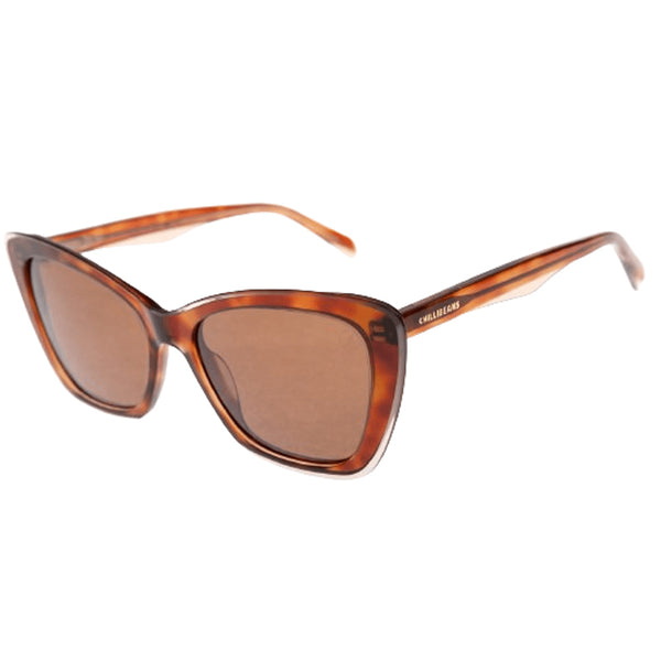 Lentes De Sol Chilli Beans Cat Marrón/Marrón