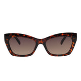 Lentes De Sol Policarbonato P1 Natal 2025 Cat